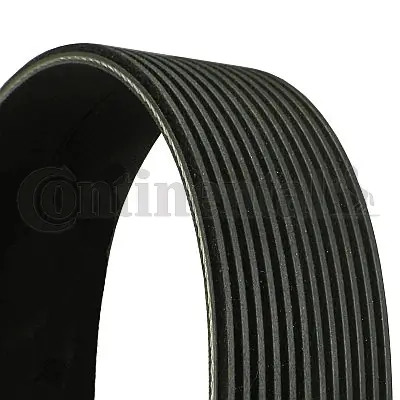 V-ribbed Belt